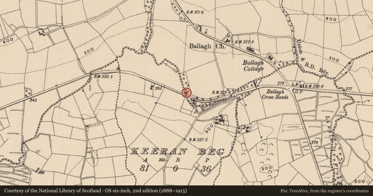 Ordnance Survey six-inch map, 2nd edition (1888–1915) covering the location of Bridge, Ballagh/Keeran Beg, Fermanagh and Omagh, with a pin at the register's coordinates
