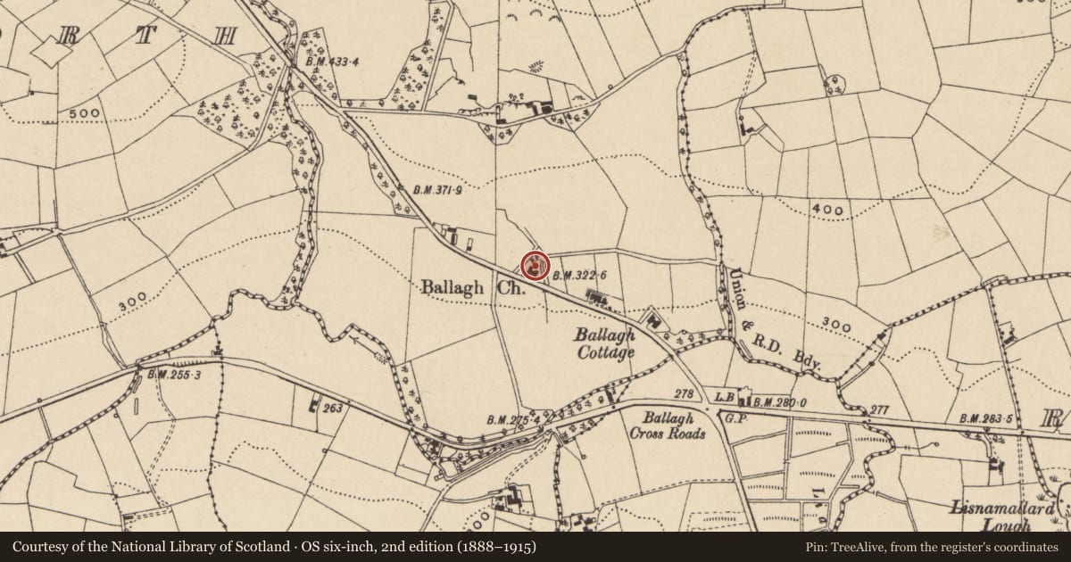 Ordnance Survey six-inch map, 2nd edition (1888–1915) covering the location of Manor Court House, Ballagh, Fermanagh and Omagh, with a pin at the register's coordinates