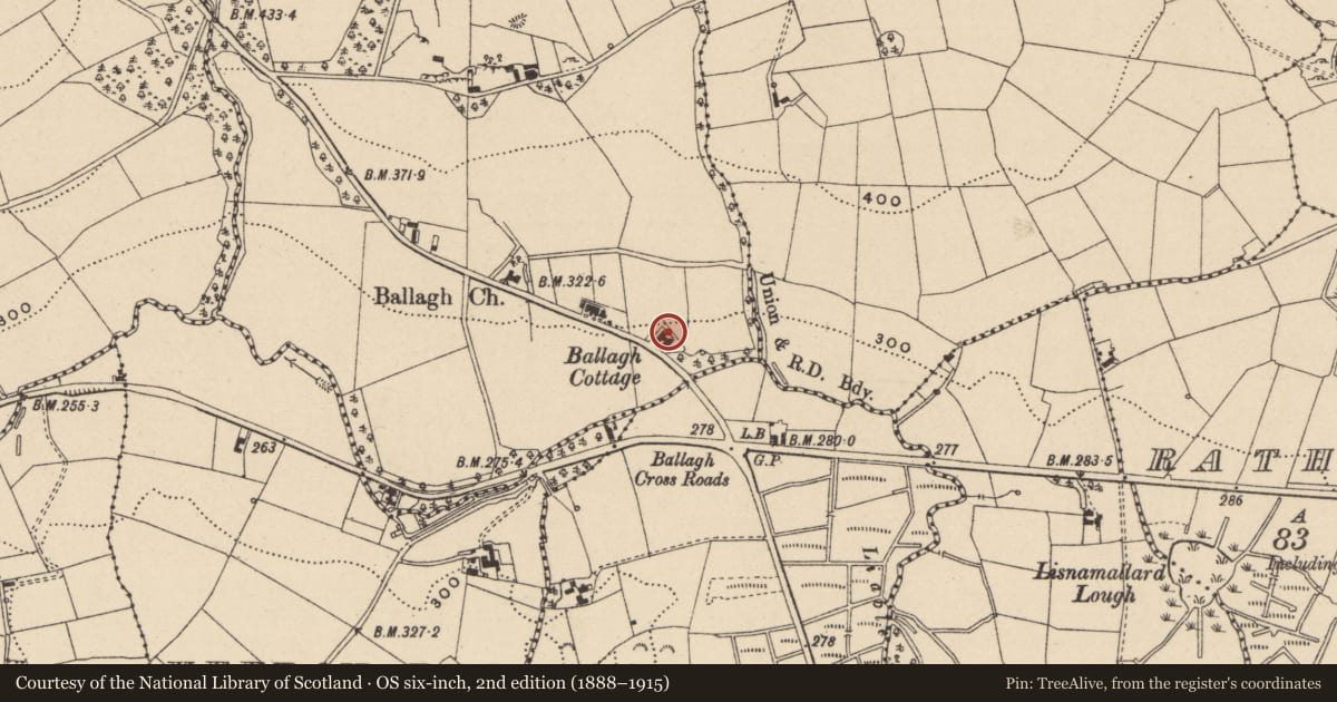 Ordnance Survey six-inch map, 2nd edition (1888–1915) covering the location of Ballagh Cottage, Fermanagh and Omagh, with a pin at the register's coordinates