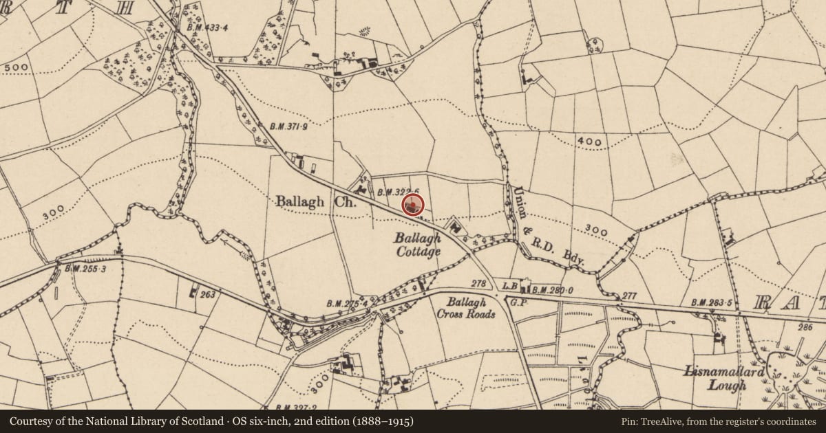 Ordnance Survey six-inch map, 2nd edition (1888–1915) covering the location of Estate Cottages, Ballagh, Fermanagh and Omagh, with a pin at the register's coordinates