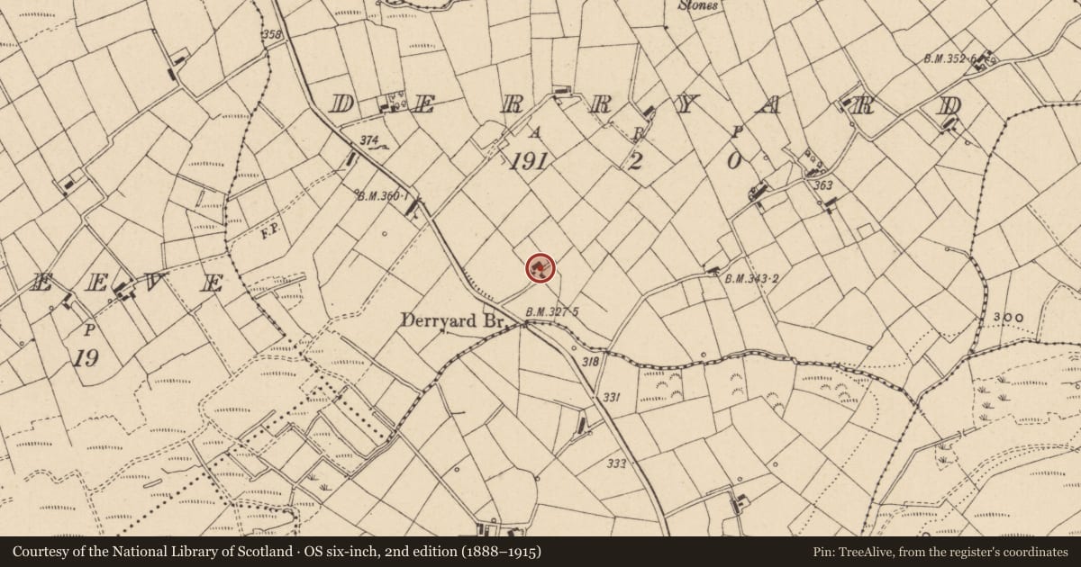 Ordnance Survey six-inch map, 2nd edition (1888–1915) covering the location of House, Derryard, Fermanagh and Omagh, with a pin at the register's coordinates