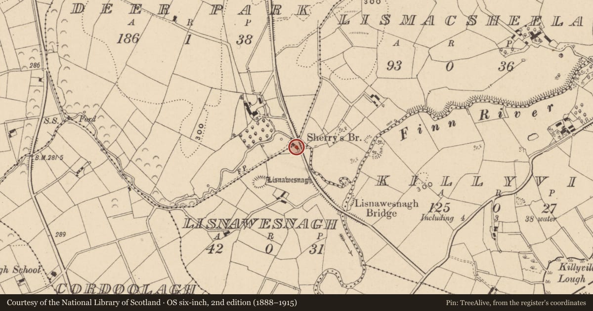 Ordnance Survey six-inch map, 2nd edition (1888–1915) covering the location of House, Lisnawesnagh, Fermanagh and Omagh, with a pin at the register's coordinates