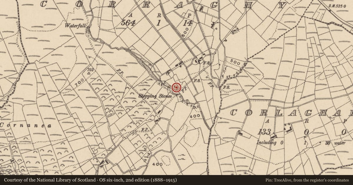 Ordnance Survey six-inch map, 2nd edition (1888–1915) covering the location of Sweat House, Corraghy, Fermanagh and Omagh, with a pin at the register's coordinates