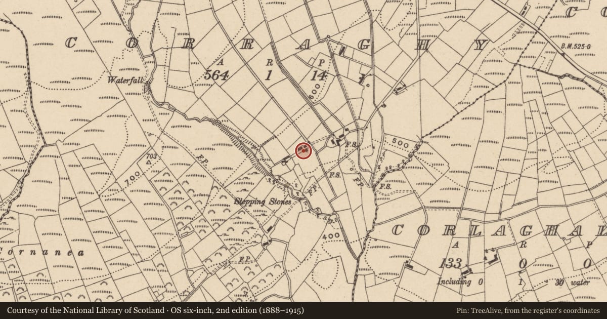 Ordnance Survey six-inch map, 2nd edition (1888–1915) covering the location of Turf House/Pig Crew, Corraghy, Fermanagh and Omagh, with a pin at the register's coordinates