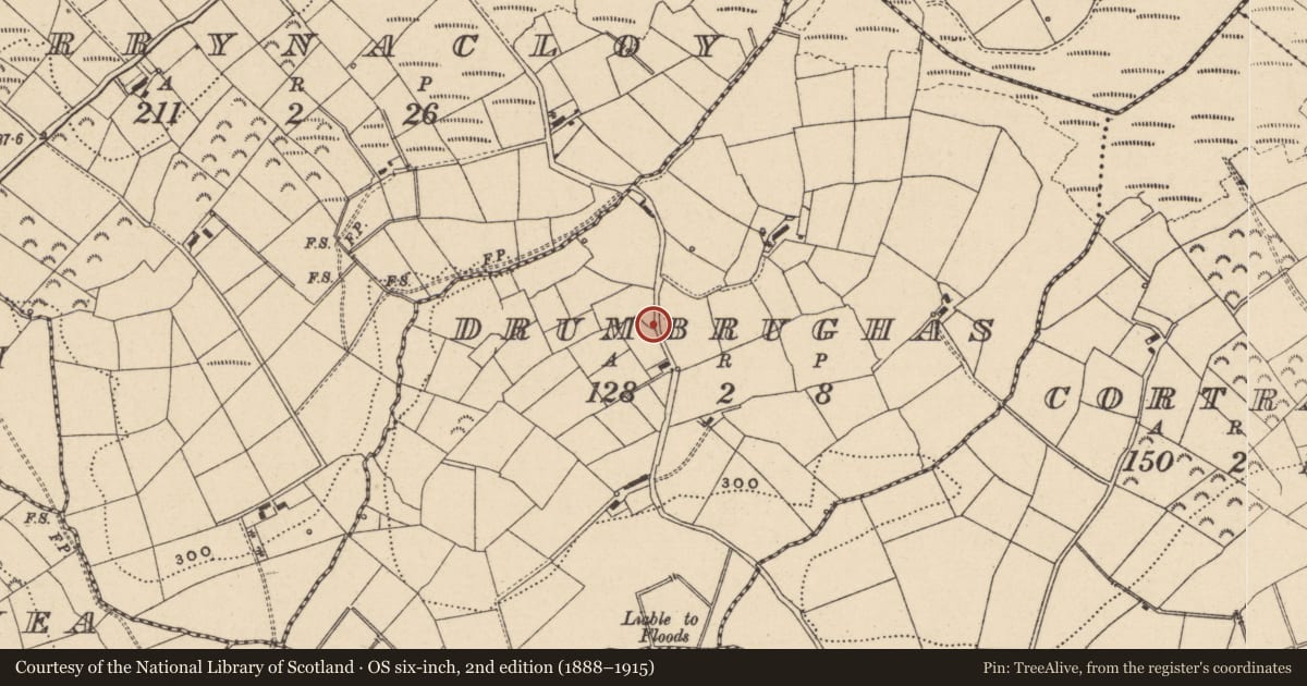 Ordnance Survey six-inch map, 2nd edition (1888–1915) covering the location of Cross, Drumbrughas, Fermanagh and Omagh, with a pin at the register's coordinates