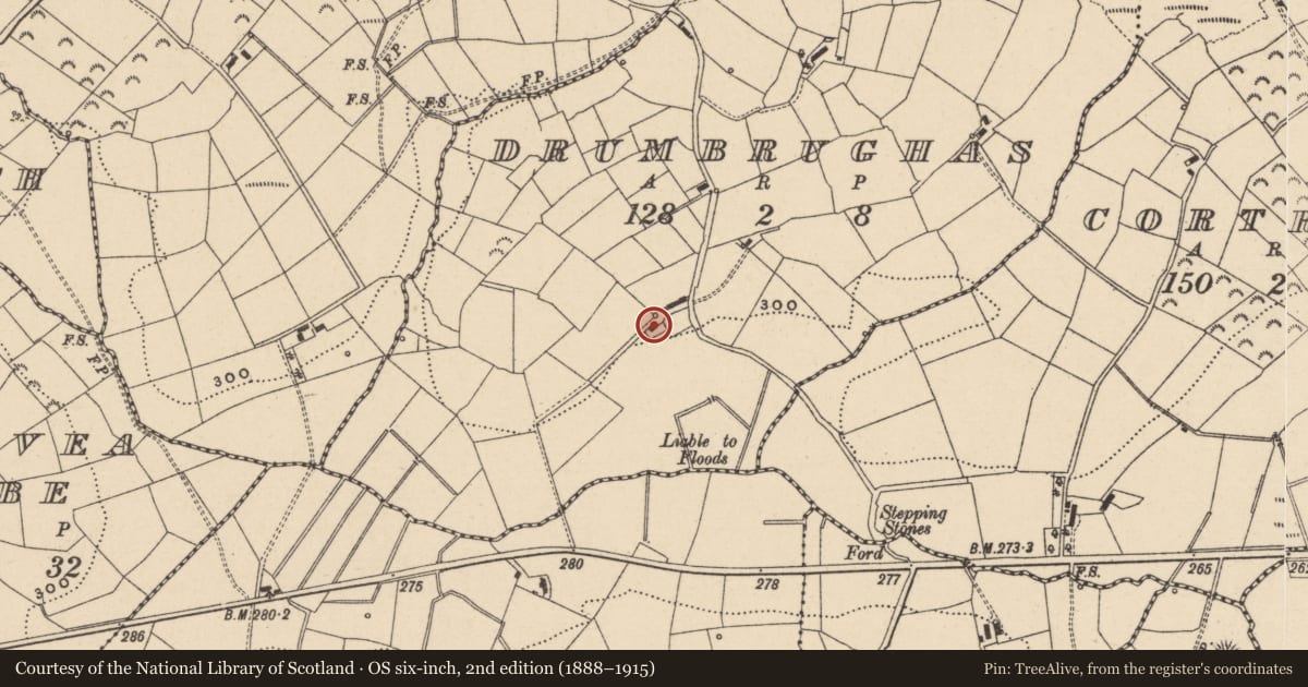 Ordnance Survey six-inch map, 2nd edition (1888–1915) covering the location of House, Drumbrughas, Fermanagh and Omagh, with a pin at the register's coordinates