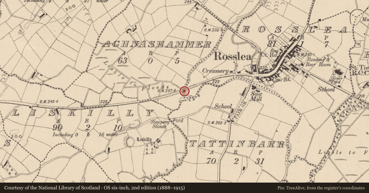 Ordnance Survey six-inch map, 2nd edition (1888–1915) covering the location of Bridge, Aghnashammer/Rosslea, Fermanagh and Omagh, with a pin at the register's coordinates