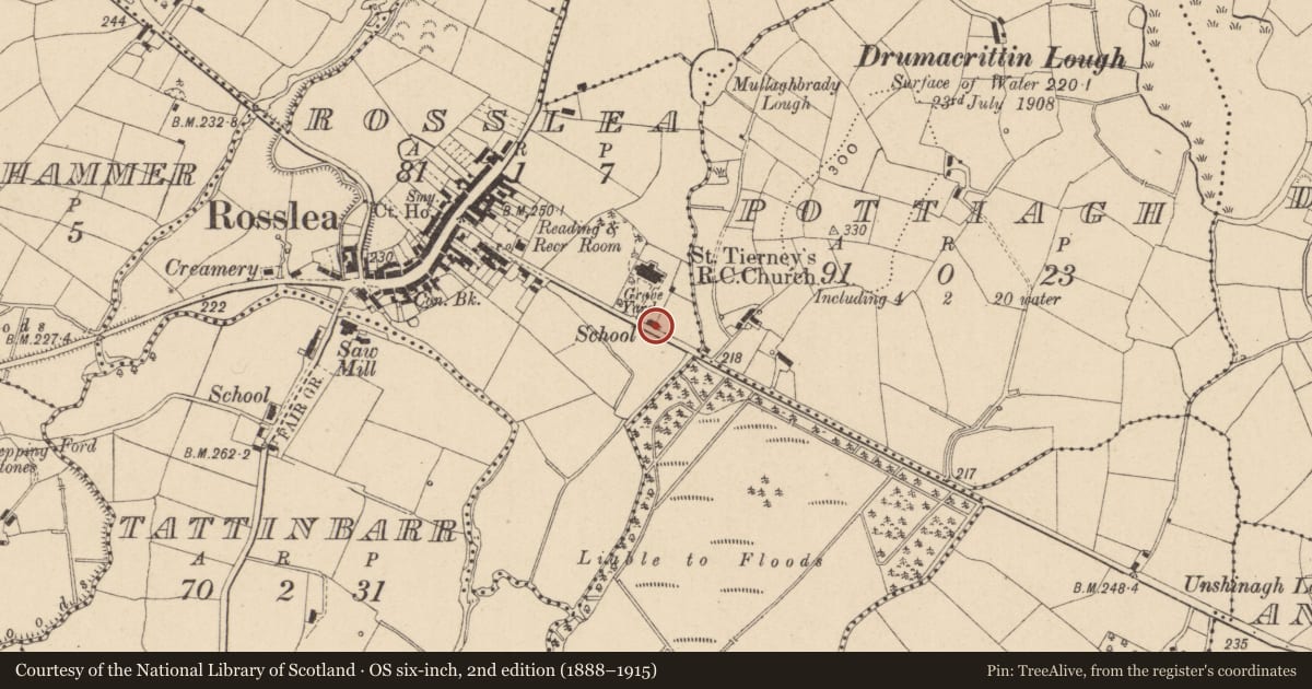 Ordnance Survey six-inch map, 2nd edition (1888–1915) covering the location of Former School, Rosslea, Fermanagh and Omagh, with a pin at the register's coordinates