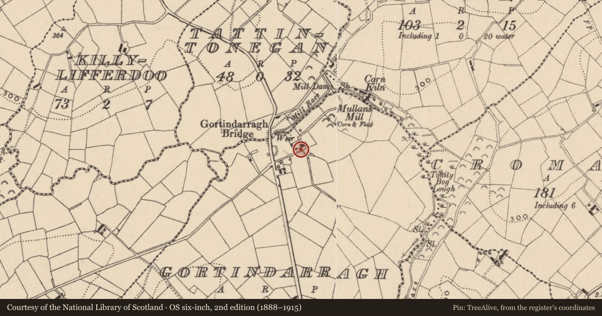 Ordnance Survey six-inch map, 2nd edition (1888–1915) covering the location of Inscribed Stones, Gortindarragh, Fermanagh and Omagh, with a pin at the register's coordinates