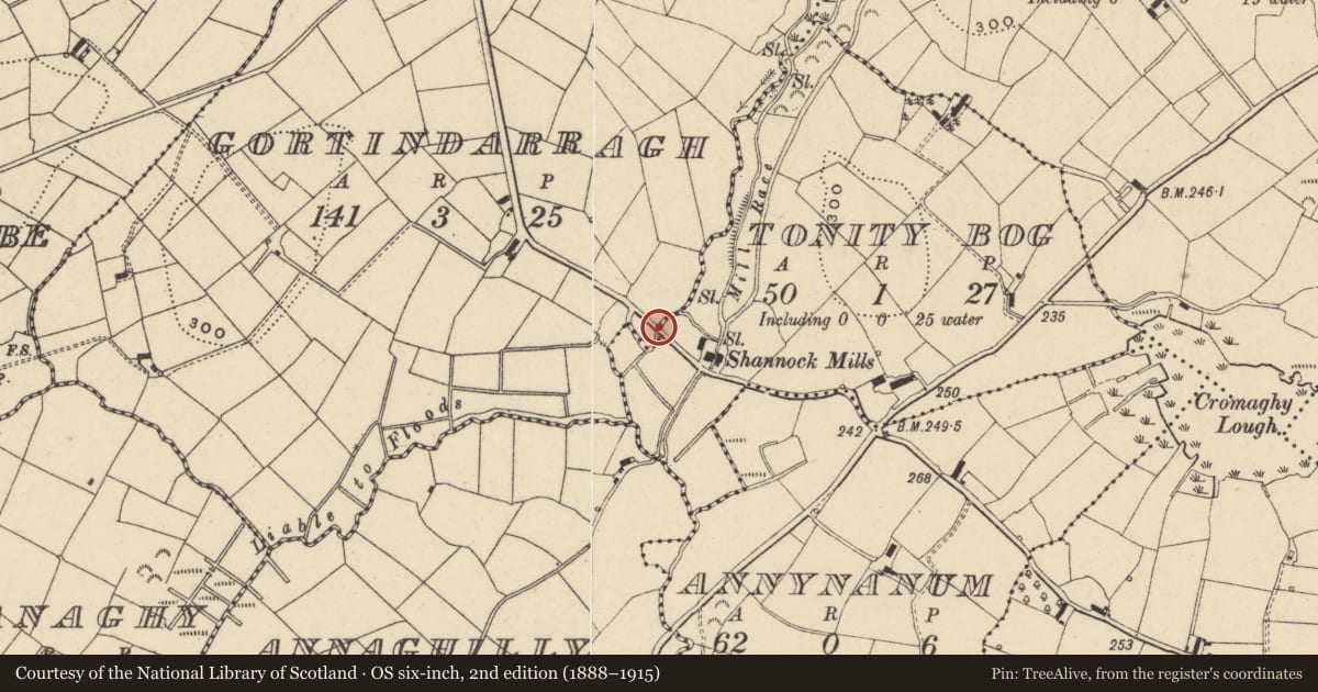 Ordnance Survey six-inch map, 2nd edition (1888–1915) covering the location of Bridge, Gortindarragh/Tonity Bog, Fermanagh and Omagh, with a pin at the register's coordinates