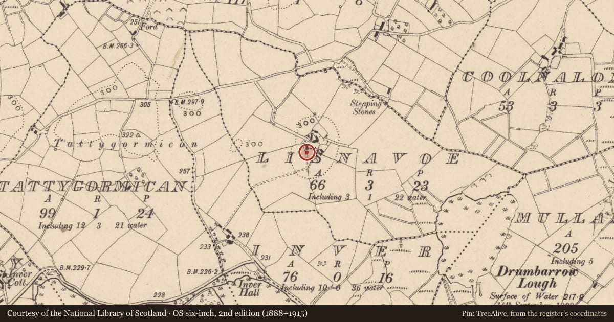 Ordnance Survey six-inch map, 2nd edition (1888–1915) covering the location of House, Lisnavoe, Fermanagh and Omagh, with a pin at the register's coordinates