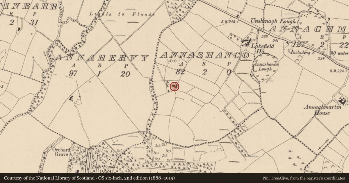 Ordnance Survey six-inch map, 2nd edition (1888–1915) covering the location of House, Annashanco, Fermanagh and Omagh, with a pin at the register's coordinates