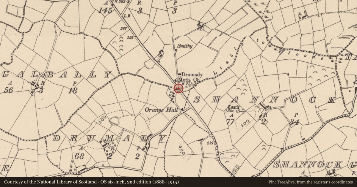 Ordnance Survey six-inch map, 2nd edition (1888–1915) covering the location of Bridge, Lisrace/Drumady, Fermanagh and Omagh, with a pin at the register's coordinates