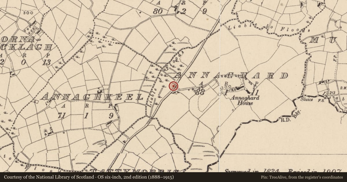 Ordnance Survey six-inch map, 2nd edition (1888–1915) covering the location of Gate Lodge, Annaghard, Fermanagh and Omagh, with a pin at the register's coordinates
