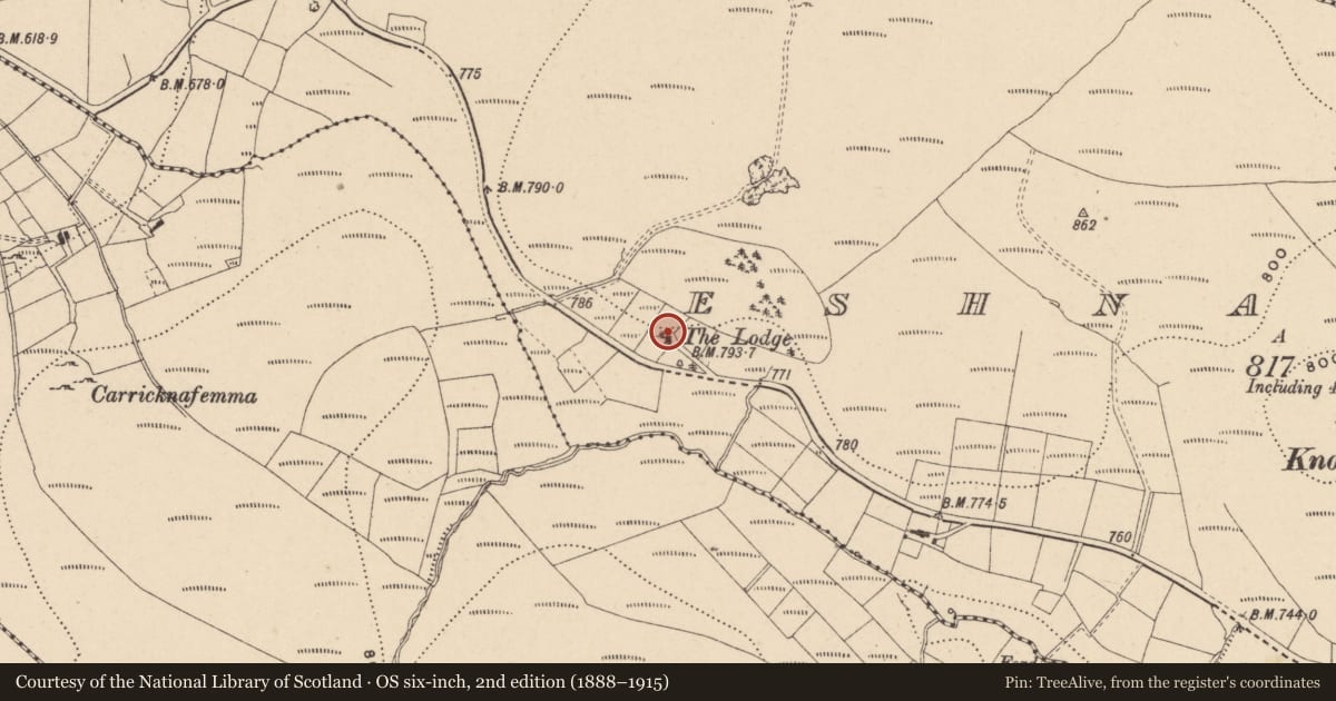 Ordnance Survey six-inch map, 2nd edition (1888–1915) covering the location of The Lodge, Eshnadarragh, Fermanagh and Omagh, with a pin at the register's coordinates