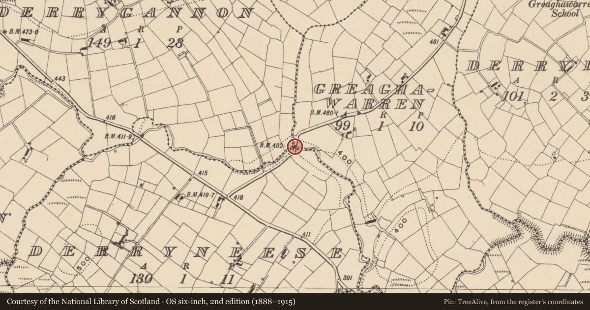 Ordnance Survey six-inch map, 2nd edition (1888–1915) covering the location of Bridge, Greaghawarren/Derryneese, Fermanagh and Omagh, with a pin at the register's coordinates