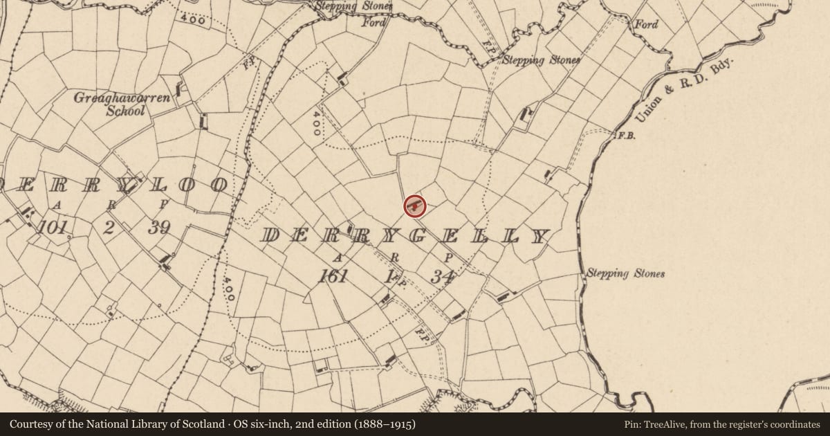 Ordnance Survey six-inch map, 2nd edition (1888–1915) covering the location of House, Derrygelly, Fermanagh and Omagh, with a pin at the register's coordinates