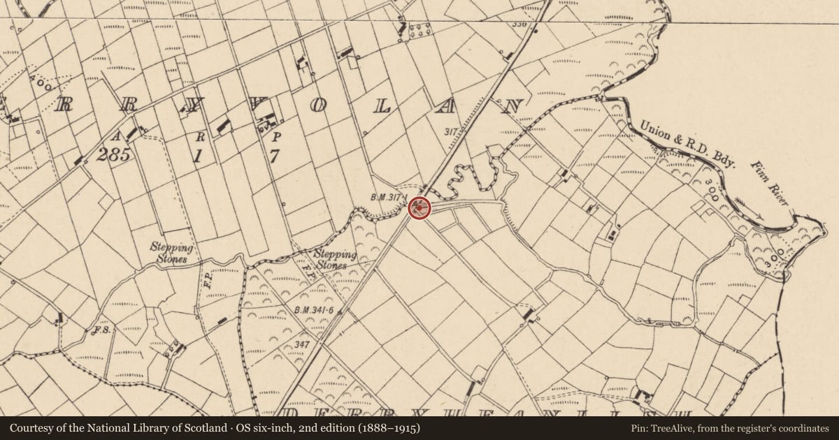 Ordnance Survey six-inch map, 2nd edition (1888–1915) covering the location of Bridge, Derryheanlish/Derryvolan, Fermanagh and Omagh, with a pin at the register's coordinates