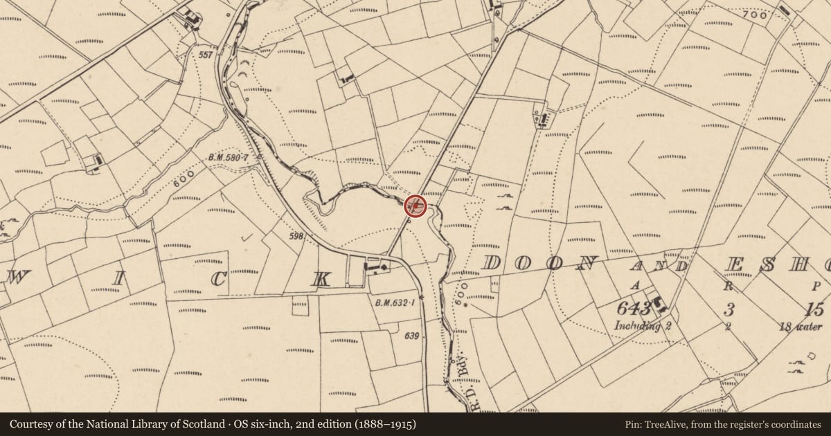 Ordnance Survey six-inch map, 2nd edition (1888–1915) covering the location of Bridge, Doon & Eshcleagh, Fermanagh and Omagh, with a pin at the register's coordinates