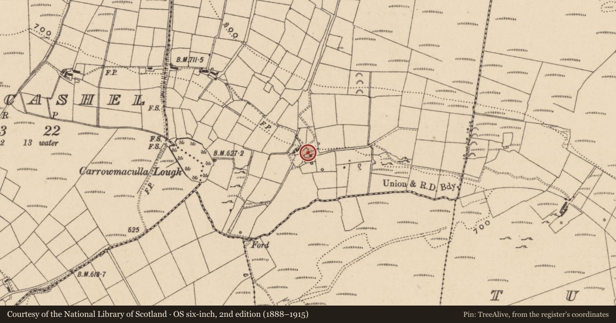 Ordnance Survey six-inch map, 2nd edition (1888–1915) covering the location of Outbuilding, Carrowmaculla, Fermanagh and Omagh, with a pin at the register's coordinates