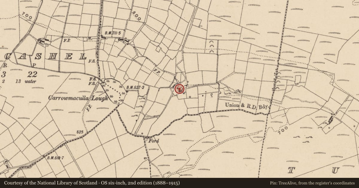 Ordnance Survey six-inch map, 2nd edition (1888–1915) covering the location of House, Carrowmaculla, Fermanagh and Omagh, with a pin at the register's coordinates