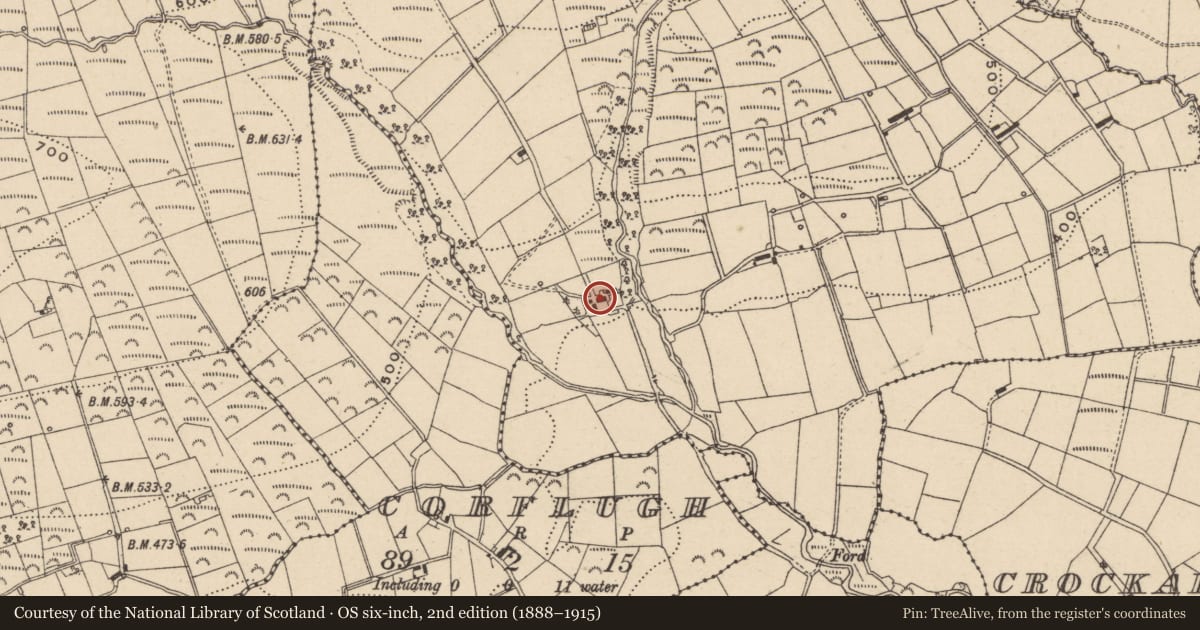 Ordnance Survey six-inch map, 2nd edition (1888–1915) covering the location of Demolished house, Strananerriagh, Fermanagh and Omagh, with a pin at the register's coordinates