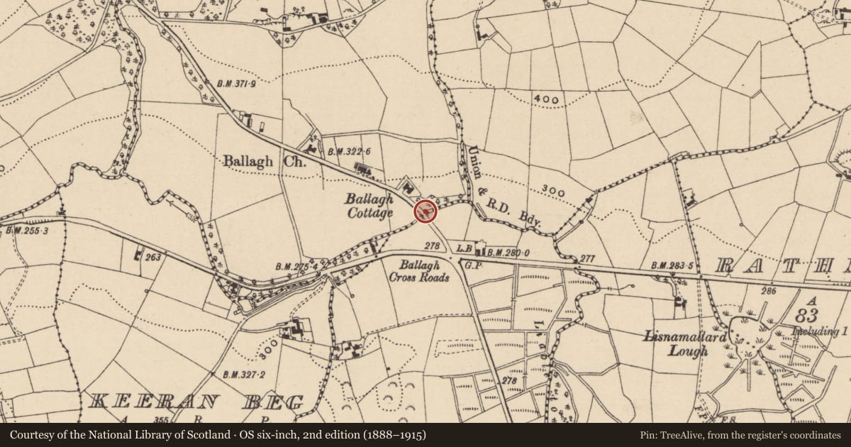Ordnance Survey six-inch map, 2nd edition (1888–1915) covering the location of Bridge, Ballagh/Cloghagaddy, Fermanagh and Omagh, with a pin at the register's coordinates