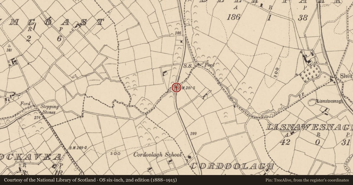 Ordnance Survey six-inch map, 2nd edition (1888–1915) covering the location of Bridge, Cordoolagh/Derrynawilt East, Fermanagh and Omagh, with a pin at the register's coordinates