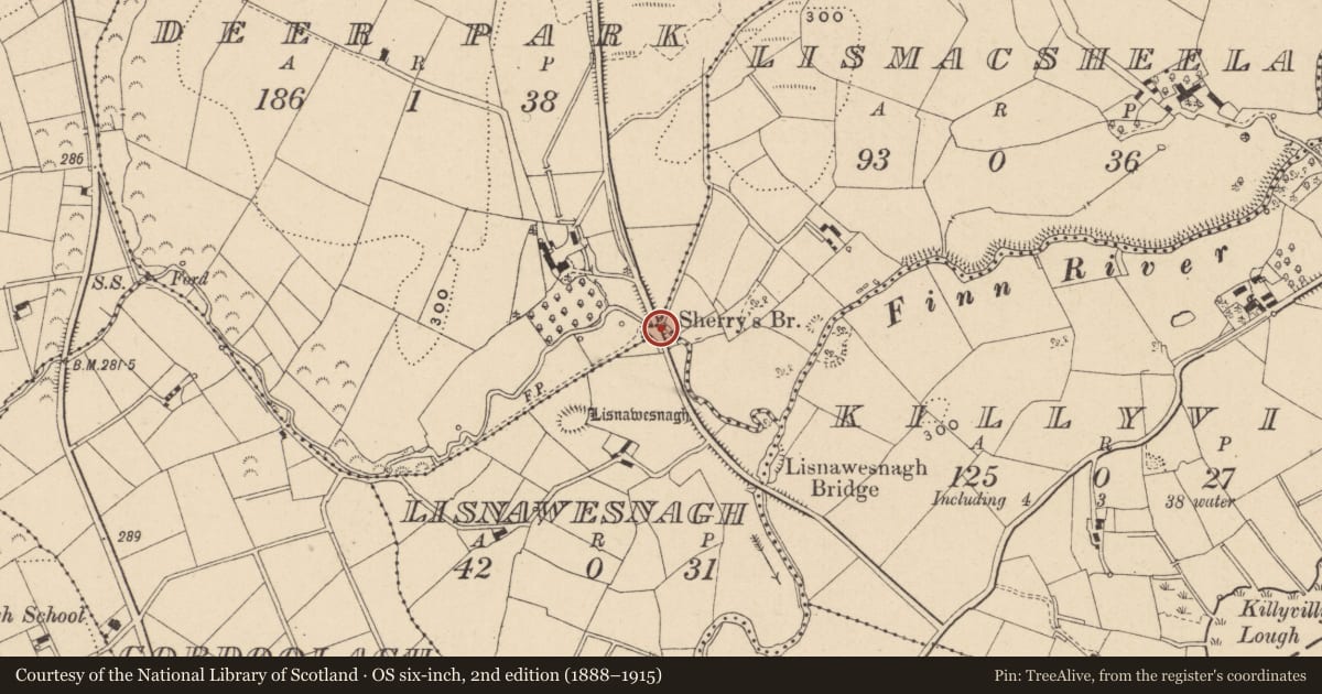 Ordnance Survey six-inch map, 2nd edition (1888–1915) covering the location of Bridge, Deer Park/Lisnawesnagh, Fermanagh and Omagh, with a pin at the register's coordinates