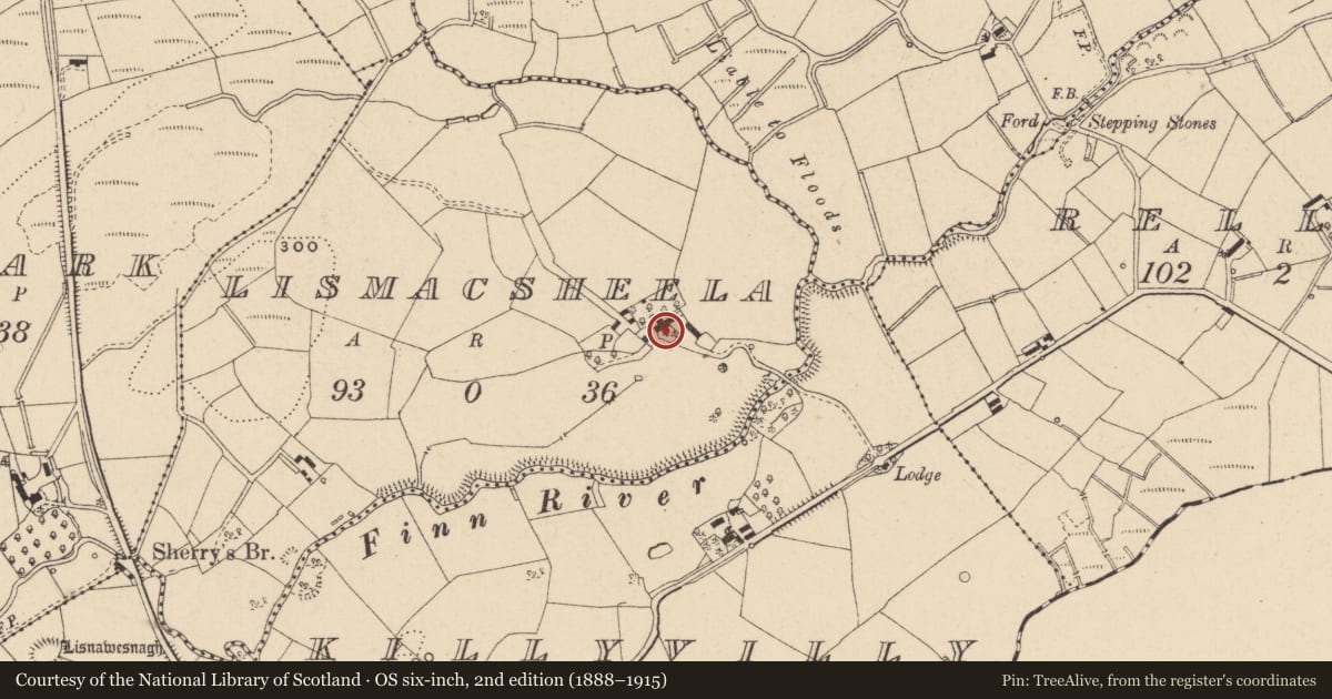 Ordnance Survey six-inch map, 2nd edition (1888–1915) covering the location of Lismacsheela House, Fermanagh and Omagh, with a pin at the register's coordinates