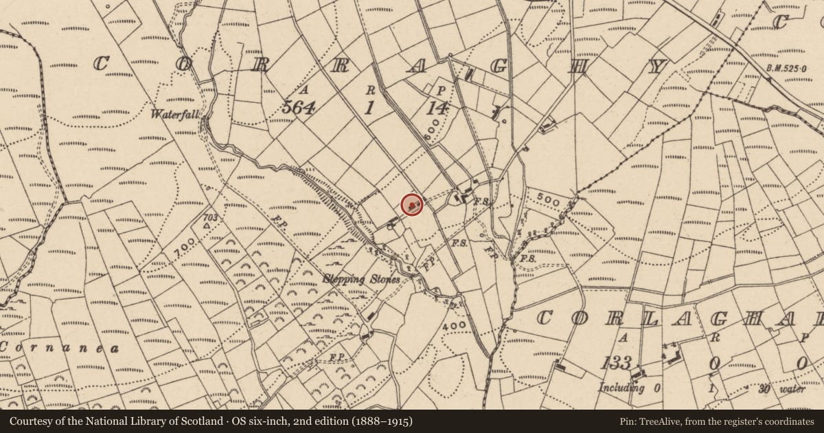 Ordnance Survey six-inch map, 2nd edition (1888–1915) covering the location of Stable and Byre, Corraghy, Fermanagh and Omagh, with a pin at the register's coordinates