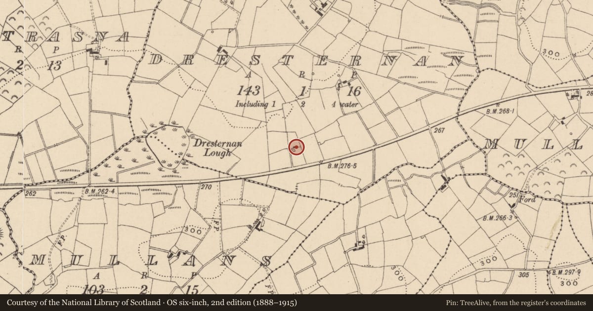 Ordnance Survey six-inch map, 2nd edition (1888–1915) covering the location of House, Dresternan, Fermanagh and Omagh, with a pin at the register's coordinates