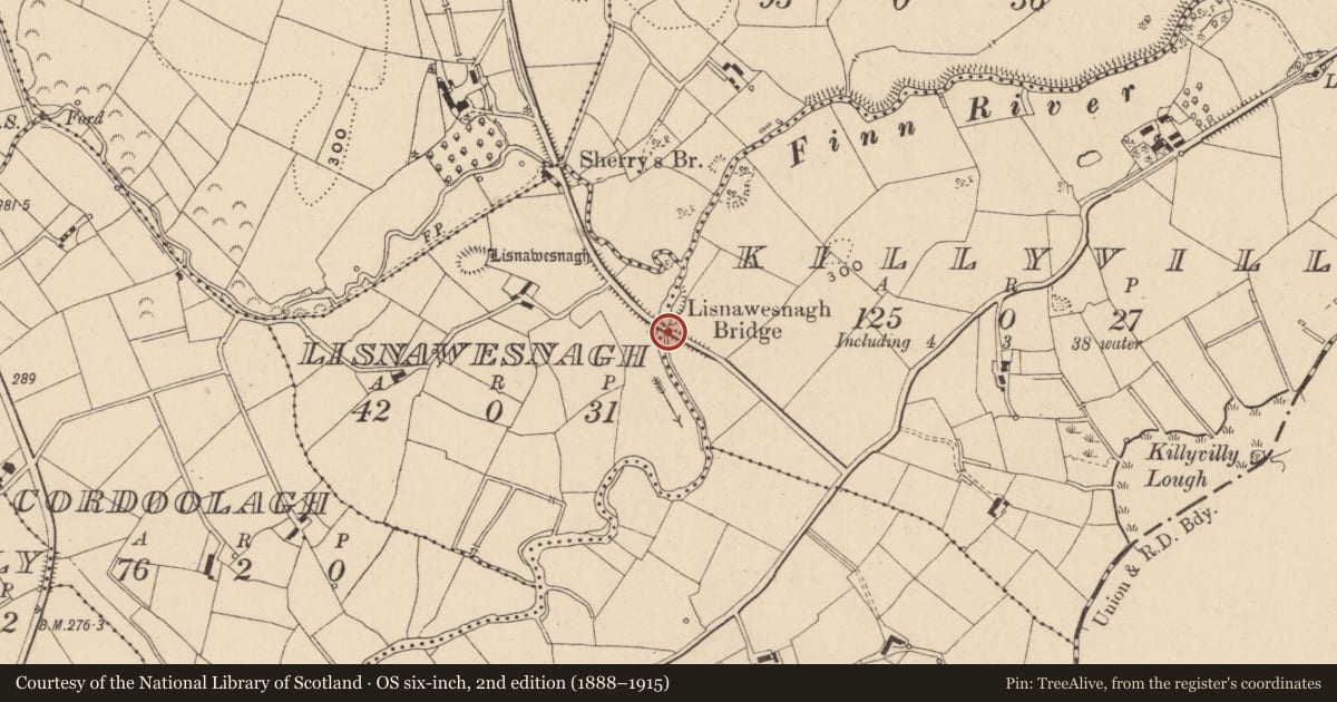 Ordnance Survey six-inch map, 2nd edition (1888–1915) covering the location of Bridge, Killyvilly/Lisnawesnagh, Fermanagh and Omagh, with a pin at the register's coordinates