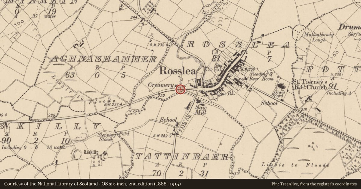 Ordnance Survey six-inch map, 2nd edition (1888–1915) covering the location of Bridge, Rosslea, Fermanagh and Omagh, with a pin at the register's coordinates