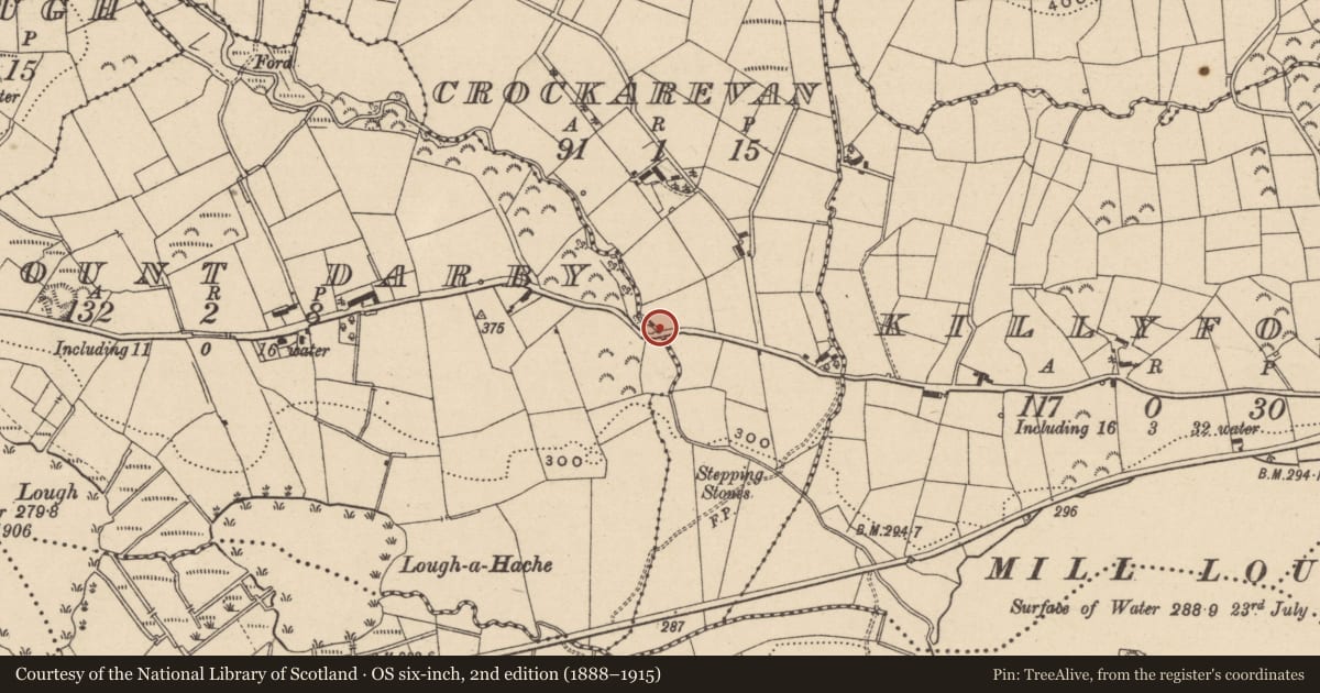 Ordnance Survey six-inch map, 2nd edition (1888–1915) covering the location of Bridge, Mount Darby/Crockarevan, Fermanagh and Omagh, with a pin at the register's coordinates