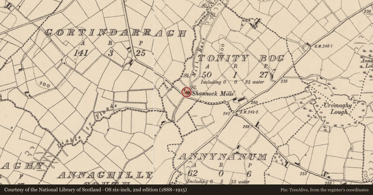 Ordnance Survey six-inch map, 2nd edition (1888–1915) covering the location of McMahon's Spadeworks, Tonity Bog, Fermanagh and Omagh, with a pin at the register's coordinates
