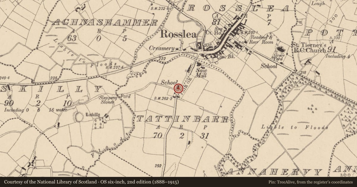 Ordnance Survey six-inch map, 2nd edition (1888–1915) covering the location of Rosslea Primary School, Tattinbar, Fermanagh and Omagh, with a pin at the register's coordinates