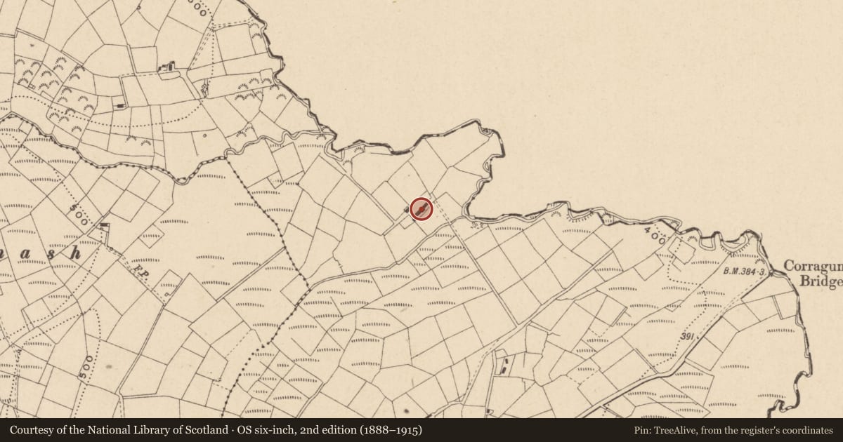 Ordnance Survey six-inch map, 2nd edition (1888–1915) covering the location of House, Corragunt, Fermanagh and Omagh, with a pin at the register's coordinates