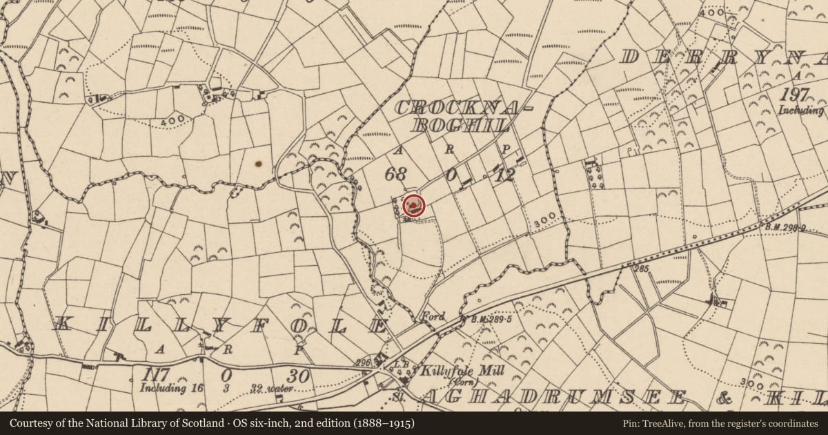 Ordnance Survey six-inch map, 2nd edition (1888–1915) covering the location of House, Crocknaboghill, Fermanagh and Omagh, with a pin at the register's coordinates