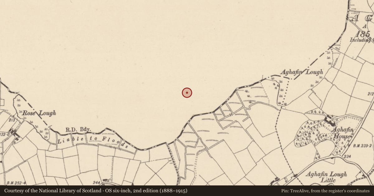 Ordnance Survey six-inch map, 2nd edition (1888–1915) covering the location of House, Annachullion Glebe, Fermanagh and Omagh, with a pin at the register's coordinates