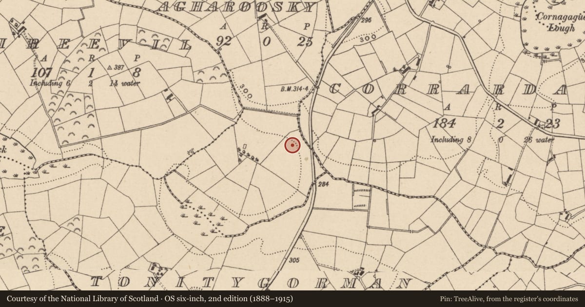 Ordnance Survey six-inch map, 2nd edition (1888–1915) covering the location of Timber House, Agharoosky, Fermanagh and Omagh, with a pin at the register's coordinates