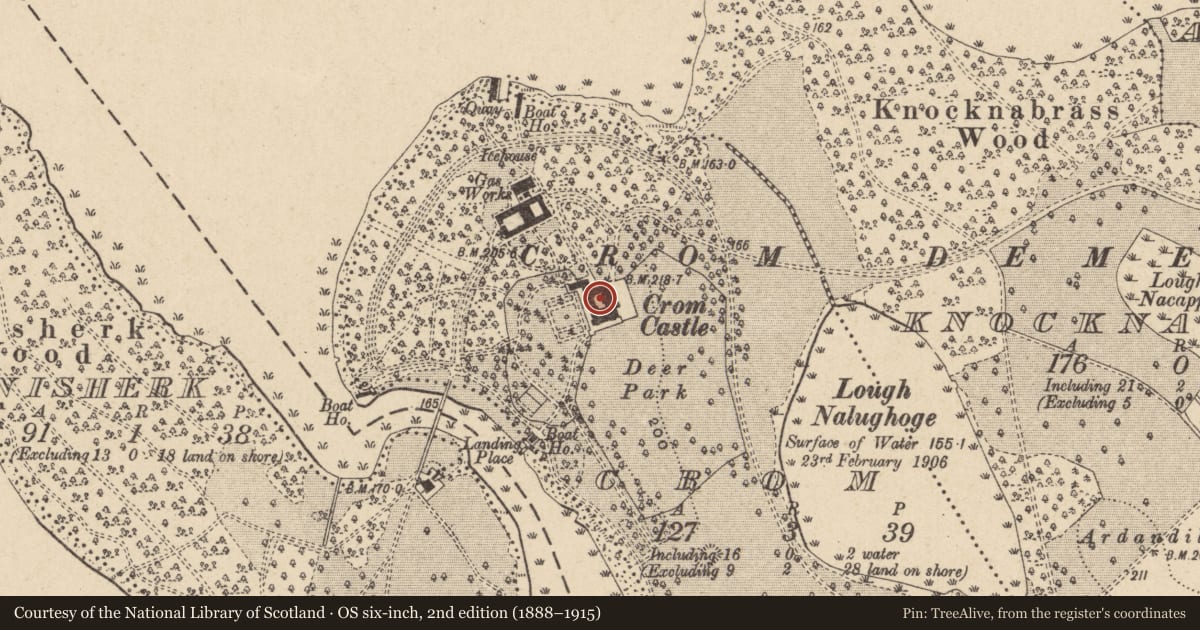 Ordnance Survey six-inch map, 2nd edition (1888–1915) covering the location of Crom Castle, Fermanagh and Omagh, with a pin at the register's coordinates