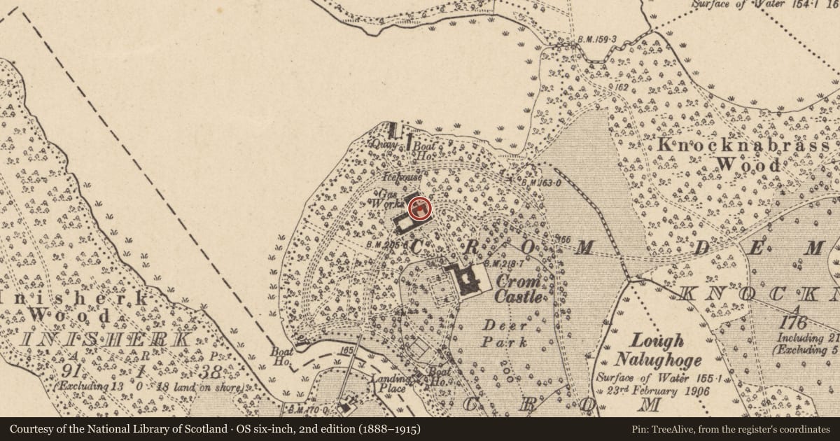 Ordnance Survey six-inch map, 2nd edition (1888–1915) covering the location of Stableyard, Crom Castle, Fermanagh and Omagh, with a pin at the register's coordinates