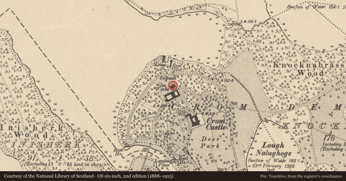 Ordnance Survey six-inch map, 2nd edition (1888–1915) covering the location of Riding School, Crom, Fermanagh and Omagh, with a pin at the register's coordinates
