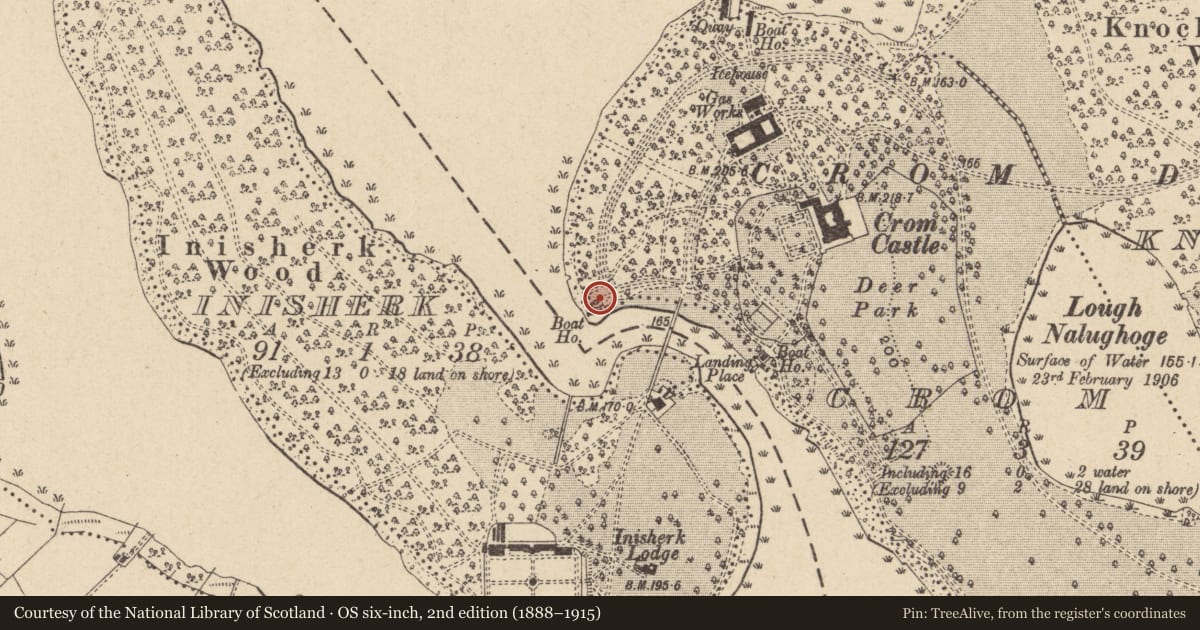 Ordnance Survey six-inch map, 2nd edition (1888–1915) covering the location of Summer House, Crom, Fermanagh and Omagh, with a pin at the register's coordinates