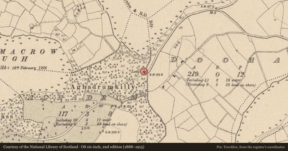 Ordnance Survey six-inch map, 2nd edition (1888–1915) covering the location of East Lodge, Aghadrum, Fermanagh and Omagh, with a pin at the register's coordinates