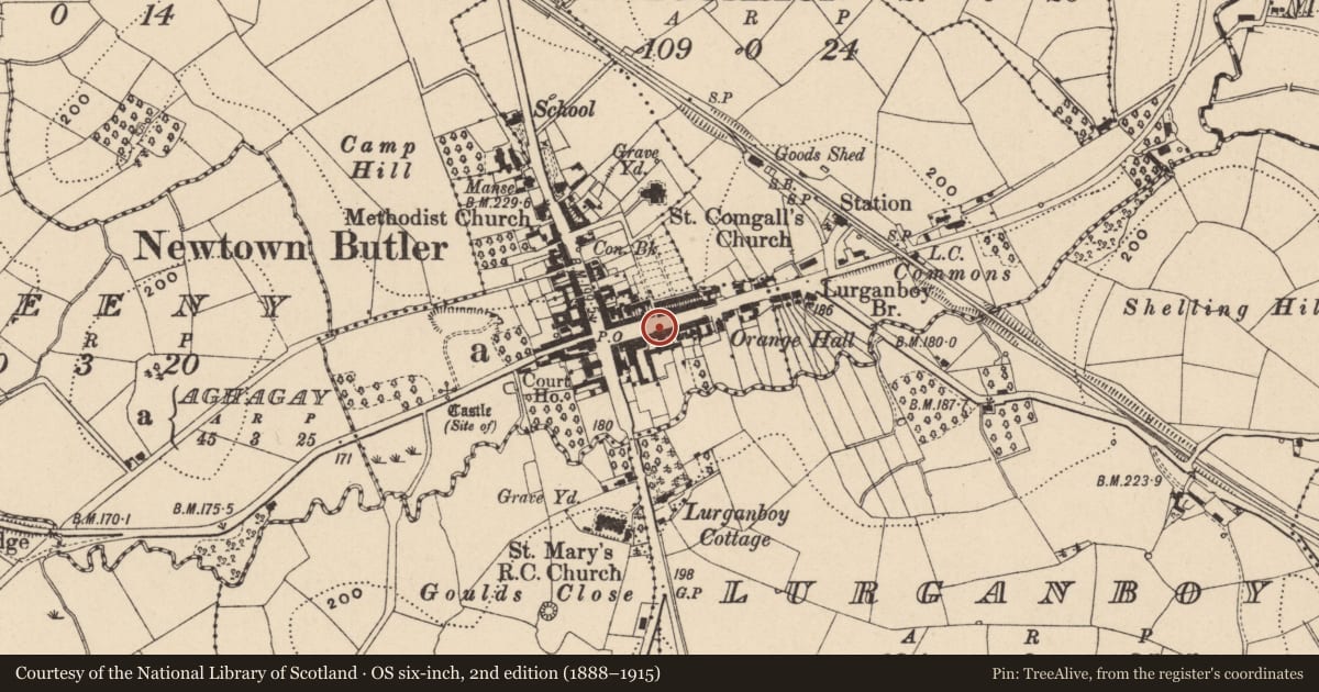 Ordnance Survey six-inch map, 2nd edition (1888–1915) covering the location of Terrace, Fermanagh and Omagh, with a pin at the register's coordinates