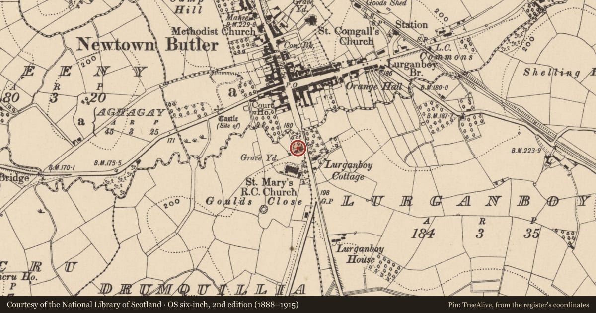 Ordnance Survey six-inch map, 2nd edition (1888–1915) covering the location of Eden Cottage, 19 Bridge Street, Newtownbutler, Co Fermanagh BT92 8EN, Drumaquillia, Fermanagh and Omagh, with a pin at the register's coordinates