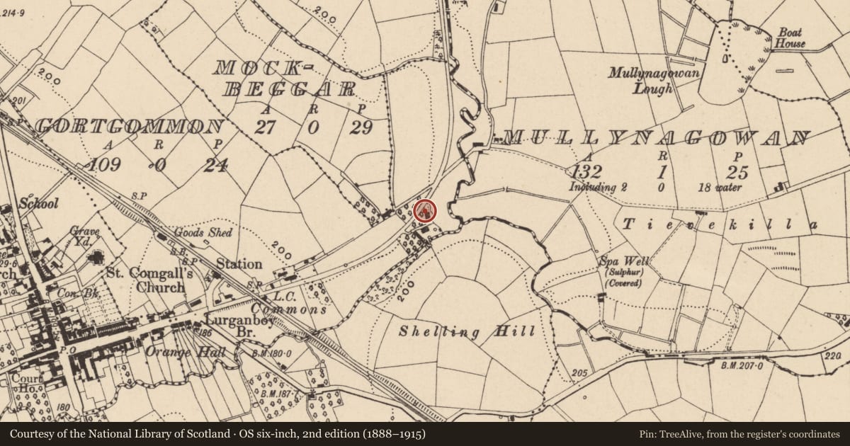 Ordnance Survey six-inch map, 2nd edition (1888–1915) covering the location of Farmhouse, Gortgommon, Fermanagh and Omagh, with a pin at the register's coordinates