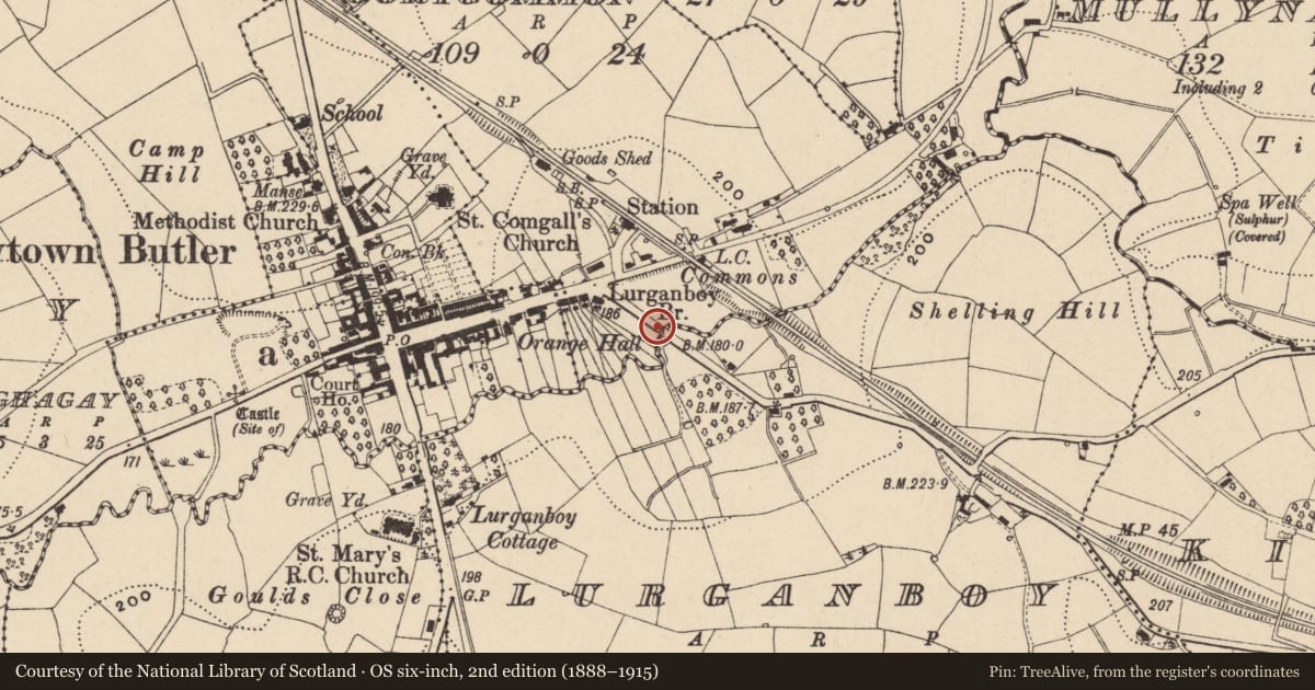 Ordnance Survey six-inch map, 2nd edition (1888–1915) covering the location of Lurganboy Bridge, Fermanagh and Omagh, with a pin at the register's coordinates